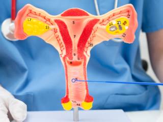 Ginecologia E Obstetrícia Em Foz Do Iguaçu PR: Atenção Integral À Mulher Em Todas As Fases