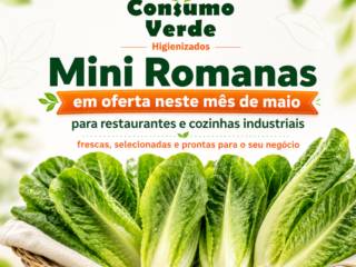 Mini Romanas Frescas em Oferta na Consumo Verde