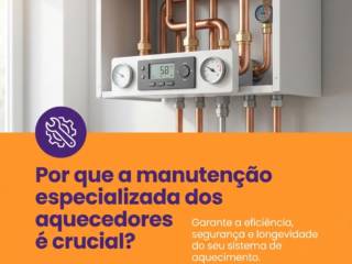 Por que a manutenção especializada dos aquecedores é crucial?