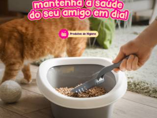 Mantenha a saúde e a higiene do seu gato em dias! Garanta os melhores itens aqui, na Casa Caramelo em Mineiros!