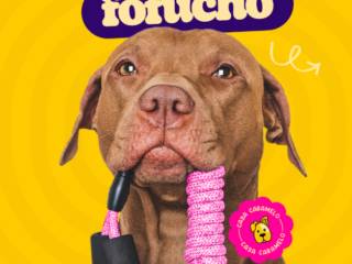 Estilo, Conforto e Muito Amor: Seu Pet Merece Tudo!