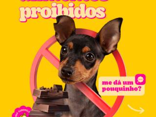 Antes de Compartilhar Seu Lanche com seu Aumigo, Leia Isso!