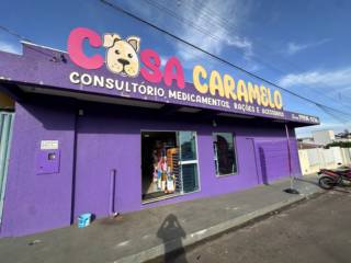 Mais do que uma loja, um lugar feito por amor aos pets