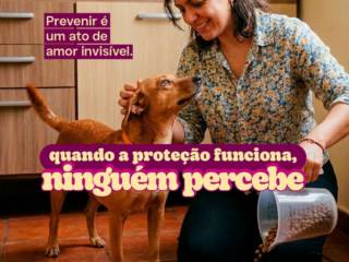 Fique atento aos sinais silenciosos do seu pet