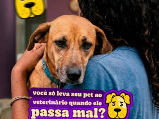 Prevenir é o melhor cuidado com quem você ama