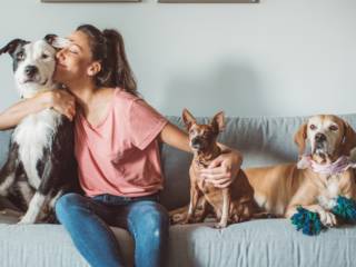 Onde o amor pelos pets encontra o melhor cuidado