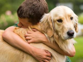 Mais que uma loja, uma casa para quem ama animais