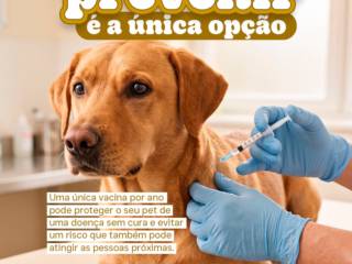 A prevenção é o maior cuidado que você pode oferecer ao seu aumigo