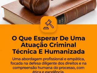 O Que Esperar De Uma Atuação Criminal Técnica E Humanizada