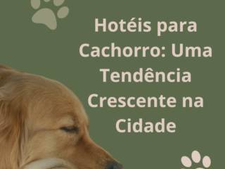 Hotéis para Cachorro: Uma Tendência Crescente na Cidade