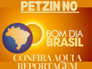 Busca por Serviços de Hospedagem para Animais Cresce no Fim do Ano!