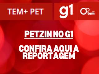 Fim de ano movimenta hotéis para pets e serviço de pet sitter