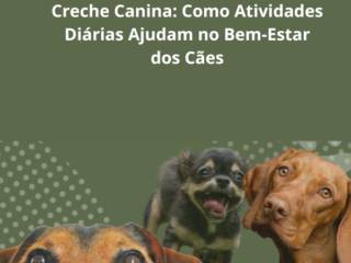 Creche Canina em Itapetininga: Como Atividades Diárias Ajudam no Bem-Estar dos Cães