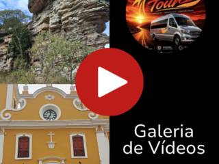 Galeria de Vídeos 