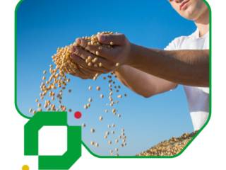 Inspeção e controle de qualidade de produtos para exportação