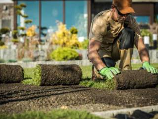 Transforme seu jardim em um refúgio natural.