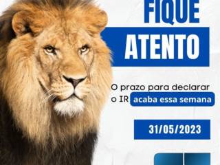 Chegou a hora de declarar seu Imposto de Renda