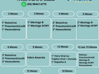 Calendário Vacinal do Bebê