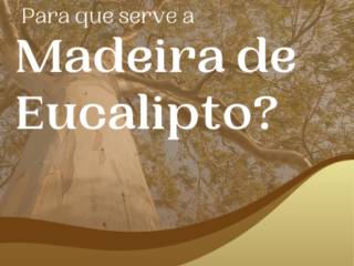 Para que serve a madeira de Eucalipto?