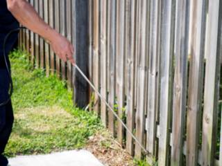 Por que contratar uma dedetizadora?