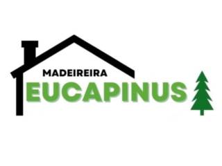 Galeria de Vídeos 