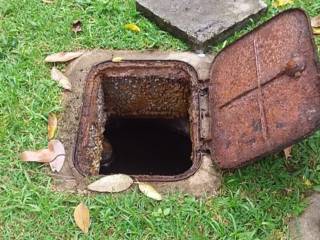 5 sinais de que sua fossa precisa de limpeza urgente!!