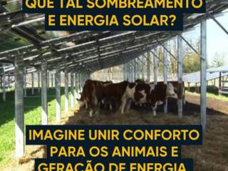 Problemas com o calor na sua propriedade? Temos a solução ideal para você!