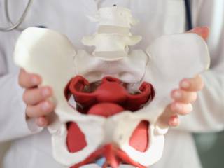 Afinal, o que é a famosa Fisioterapia Pélvica? A Vivencie Clínica Integrada te conta!