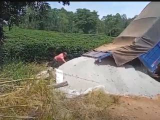 Cuidando de nosso solo com calcário para buscar altas produtividades!