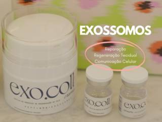 Exossomos