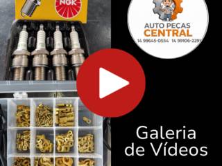 Galeria de Vídeos 