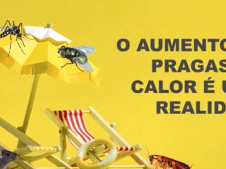 O aumento de pragas no calor é uma realidade, mas por que isso acontece?