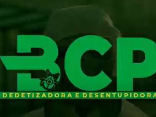 BCP DEDETIZADORA E DESENTUPIDORA 