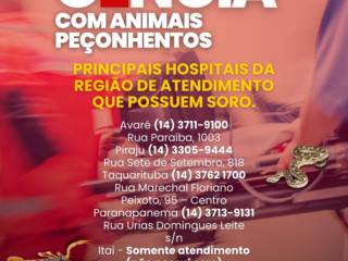 Ações de Emergência com Animais Peçonhentos