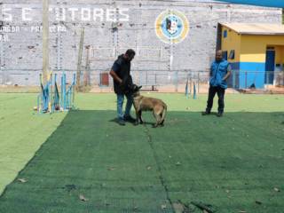Confira algumas fotos de como foi nossa Inauguração