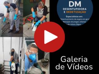 Galeria de Vídeos 
