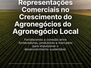 O Papel das Representações Comerciais no Crescimento do Agronegócio Local