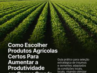 Como Escolher Produtos Agrícolas Certos Para Aumentar a Produtividade em Campo Grande