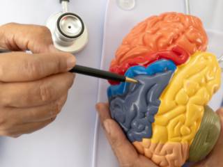 Neuroaprendizagem em Santos: estímulos para todas as idades