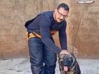 Galeria de vídeos Castro Cães de Proteção 