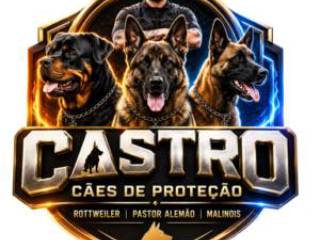 Cães Preparados para Proteger Você e Seu Patrimônio