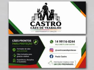 Cães Preparados para Proteger o que Mais Importa