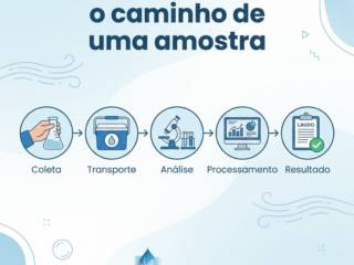 Do frasco ao laudo: o caminho de uma amostra