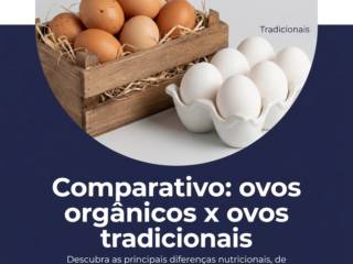 Comparativo: ovos orgânicos x ovos tradicionais