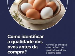 Como identificar a qualidade dos ovos antes da compra?
