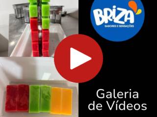 Galeria de Vídeos 