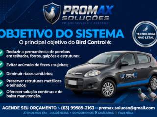 Bird Control: proteção para seu imóvel, sem ferir as aves
