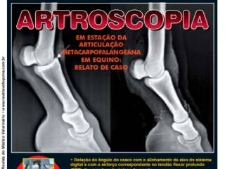 Informação especializada para quem cuida da saúde equina