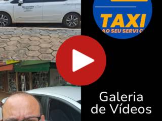 Galeria de Vídeos 
