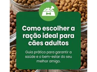Como escolher a ração ideal para cães adultos